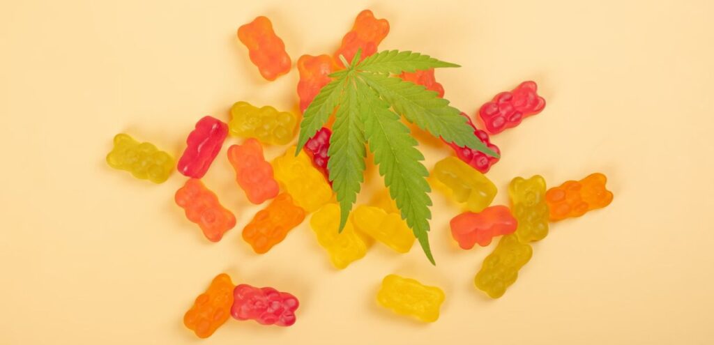 CBD Gummies vs. CBD Capsules: Which Is Right for You?