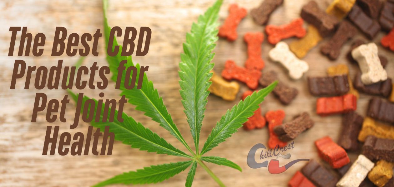 CBD Products for Pet Joint Health