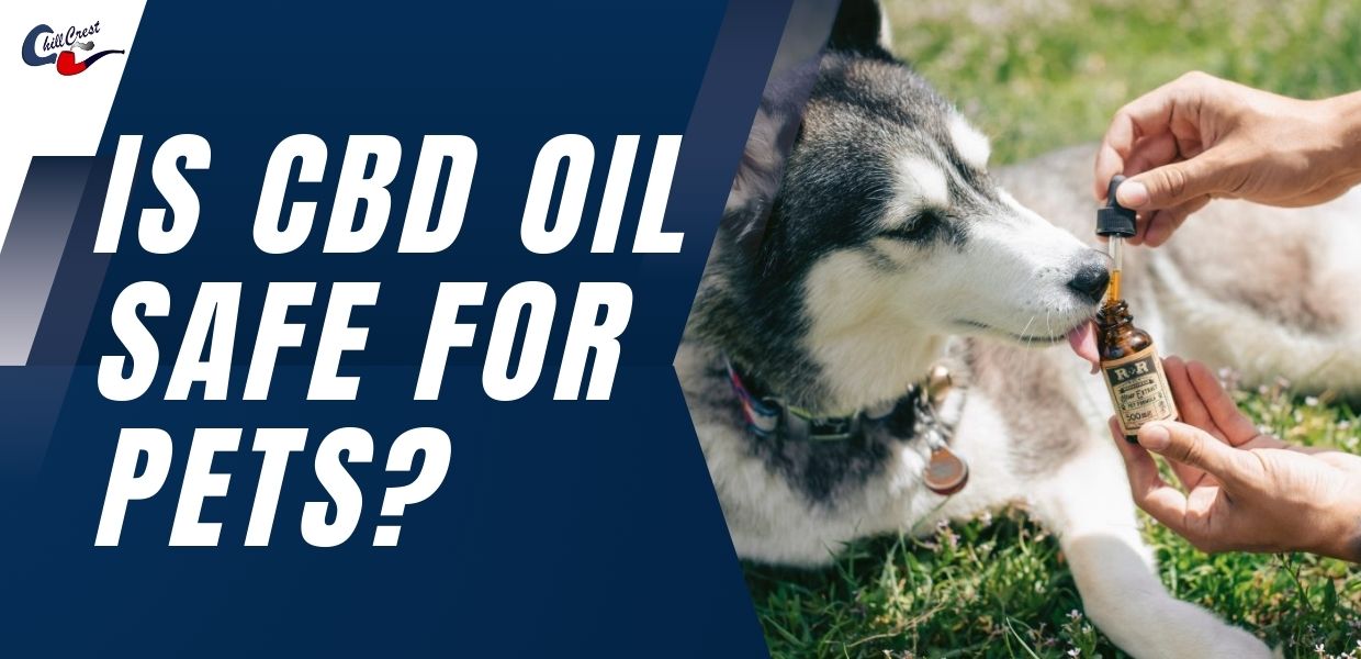 CBD Oil Safe for Pets