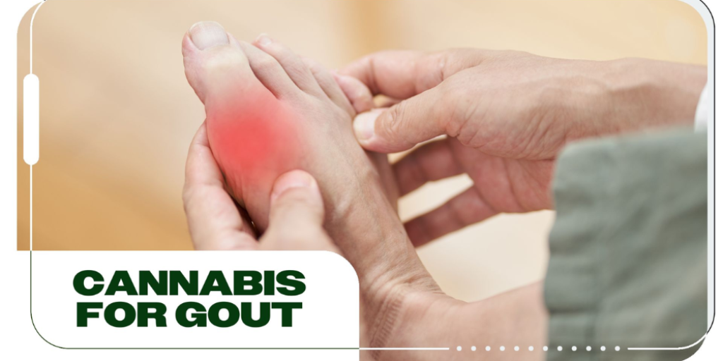 Cannabis Help Gout Symptoms