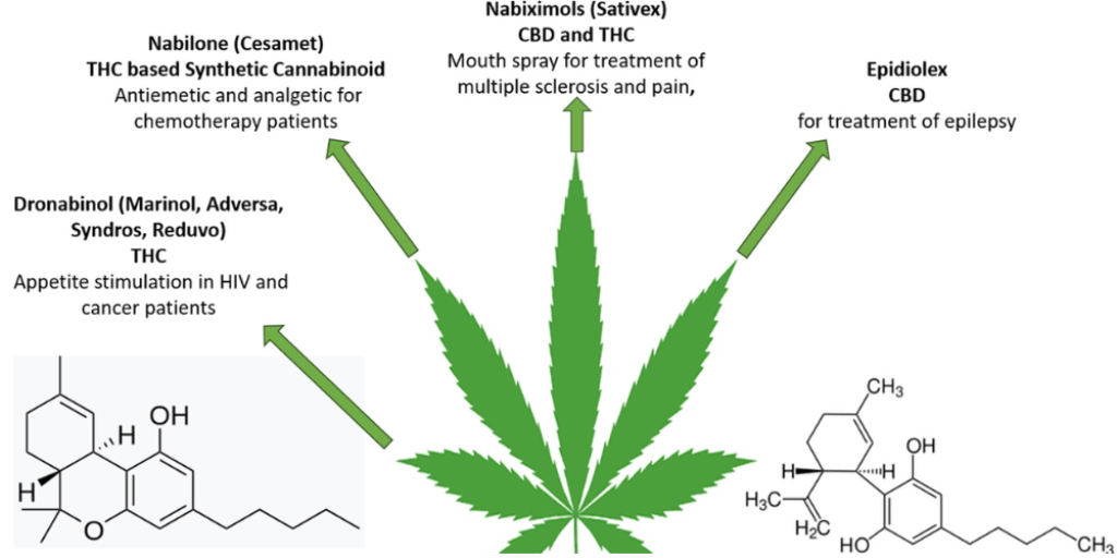Research Says About Cannabis and Gout
