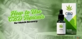 How to Use CBD Topicals for Muscle Recovery