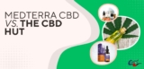 The CBD Hut vs. Medterra CBD: Pros, Cons, and User Ratings
